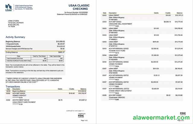 USAA Federal Savings Bank statement Word and PDF template, 2 pages